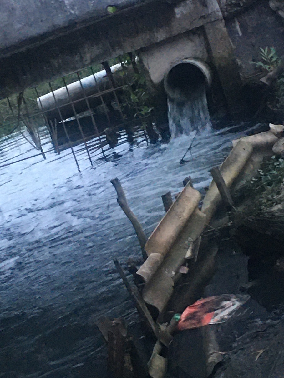 Bức xúc vì kênh ô nhiễm ở Tây Ninh, người dân yêu cầu xử lý dứt điểm