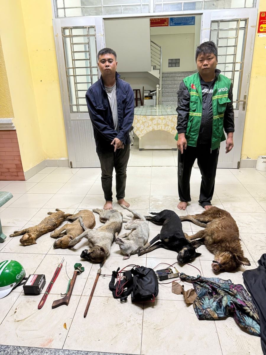 Đi ô tô, dùng súng điện tự chế để trộm chó