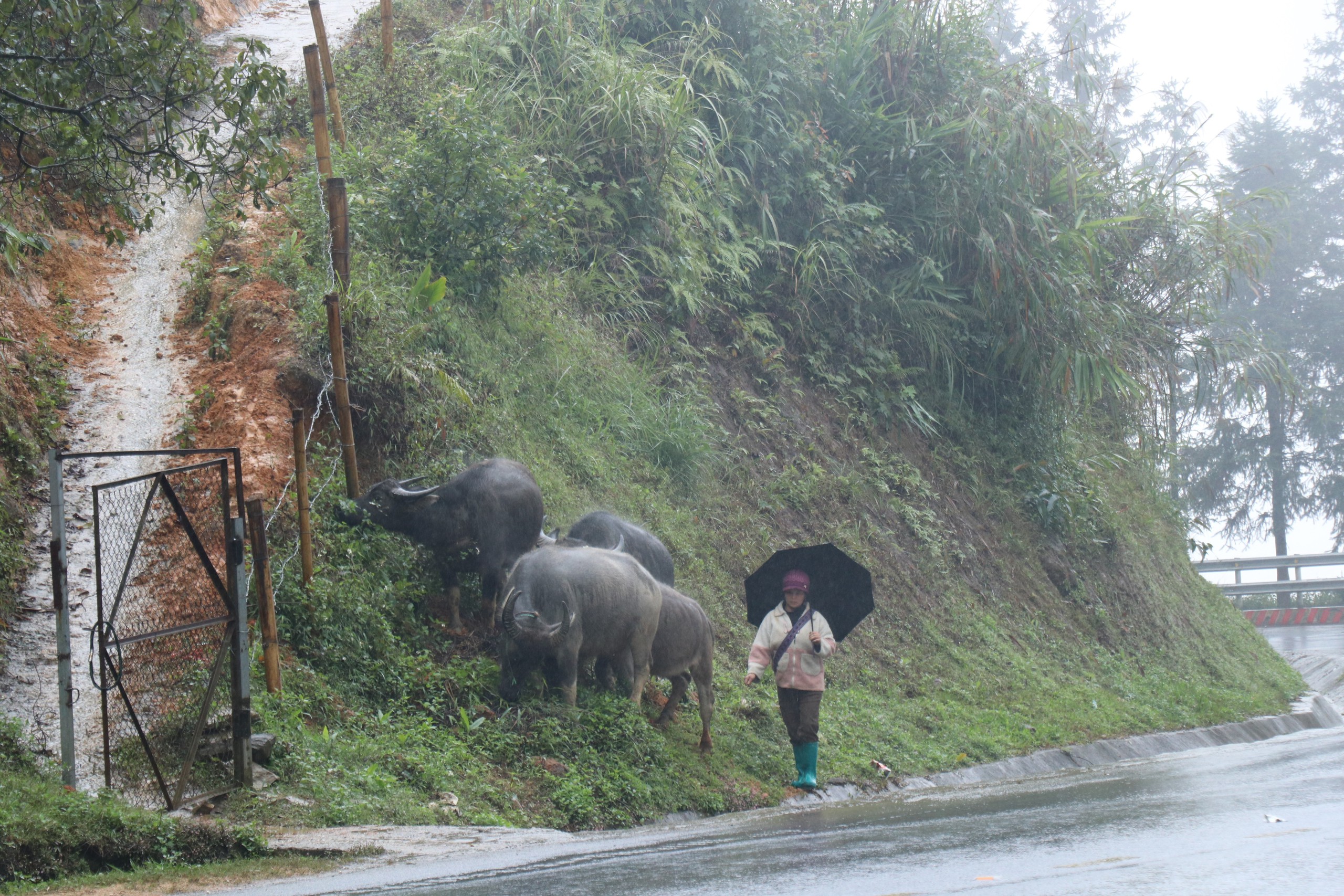 Cảnh báo từ đêm 13 đến 14/12, Sơn La trời rét đậm, rét hại, có khả năng xảy ra băng giá