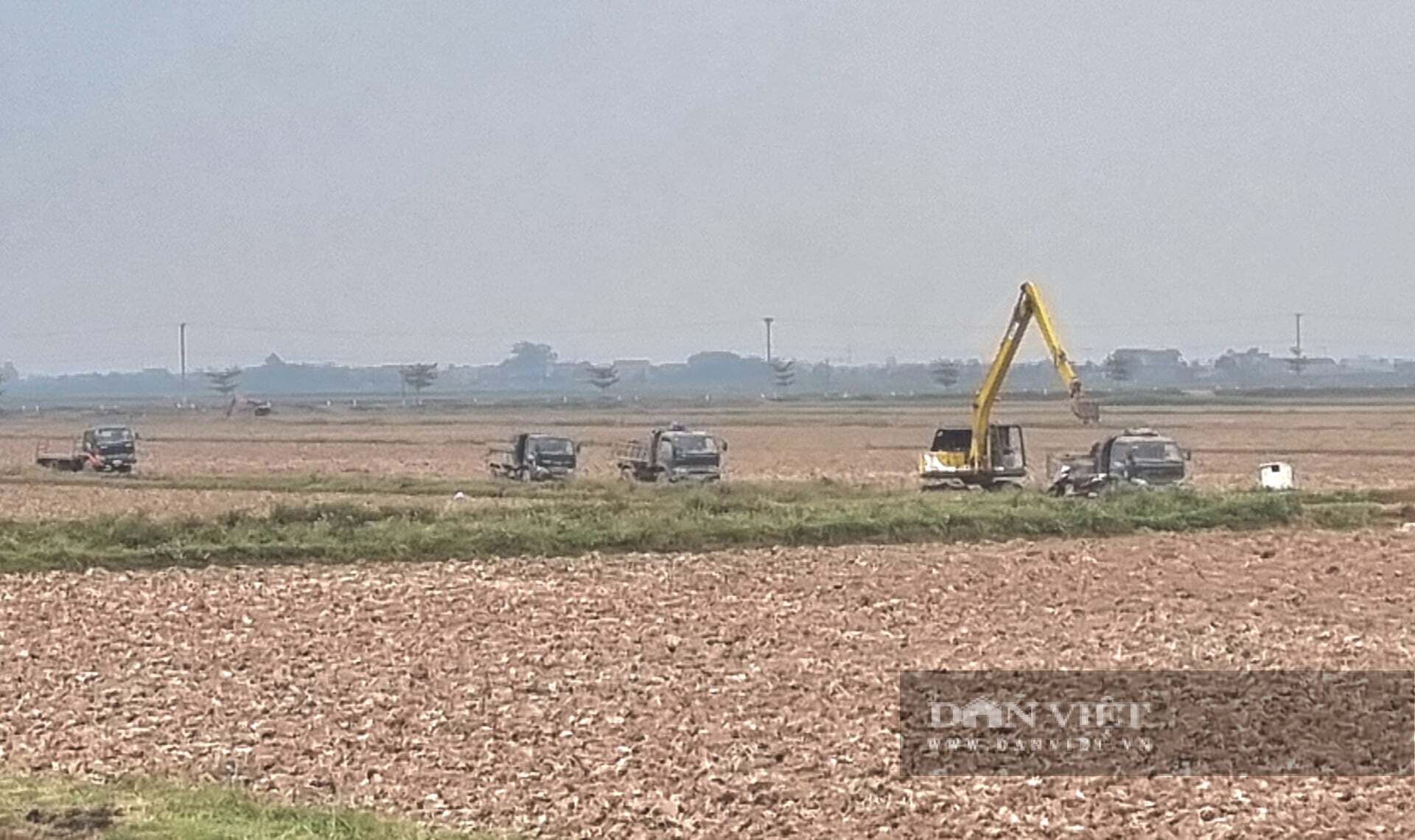 Vụ đào đất màu giữa cánh đồng chở rầm rập ở Ninh Bình: UBND tỉnh Ninh Bình yêu cầu kiểm tra, xử lý theo quy định