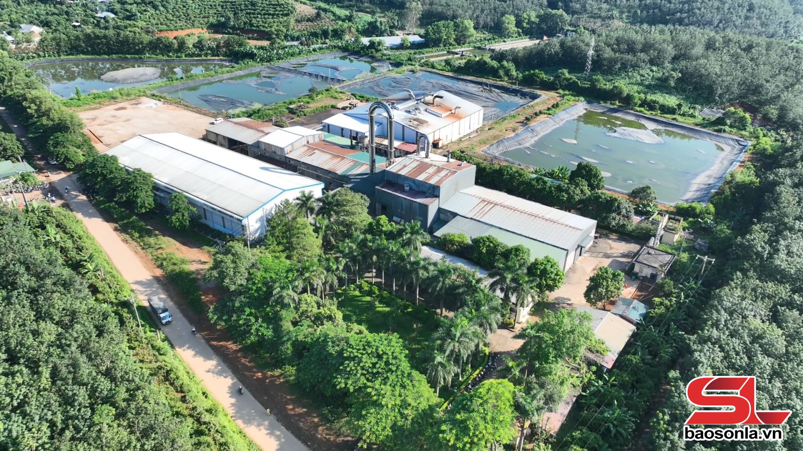 Hối hả vụ sản xuất ở Nhà máy chế biến tinh bột sắn Sơn La