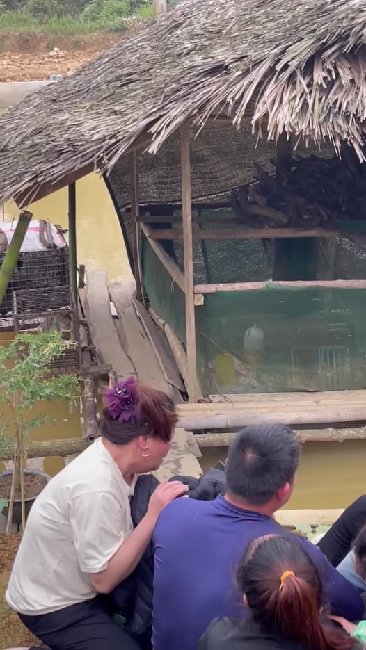 Vụ Cháu bé 4 tuổi ở Xóm Rịa 2 – Võ Miếu (huyện Thanh Sơn cũ)