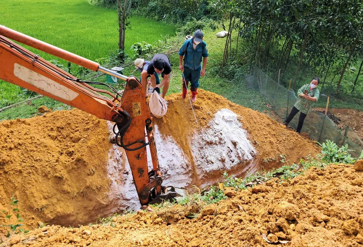 Tỉnh Nghệ An chi gần 94 tỷ hỗ trợ hộ chăn nuôi có thiệt hại do dịch tả lợn châu Phi, cúm gia cầm