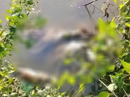 Thông tin nhói lòng vụ nữ sinh lớp 7 ở Cà Mau bị sát hại