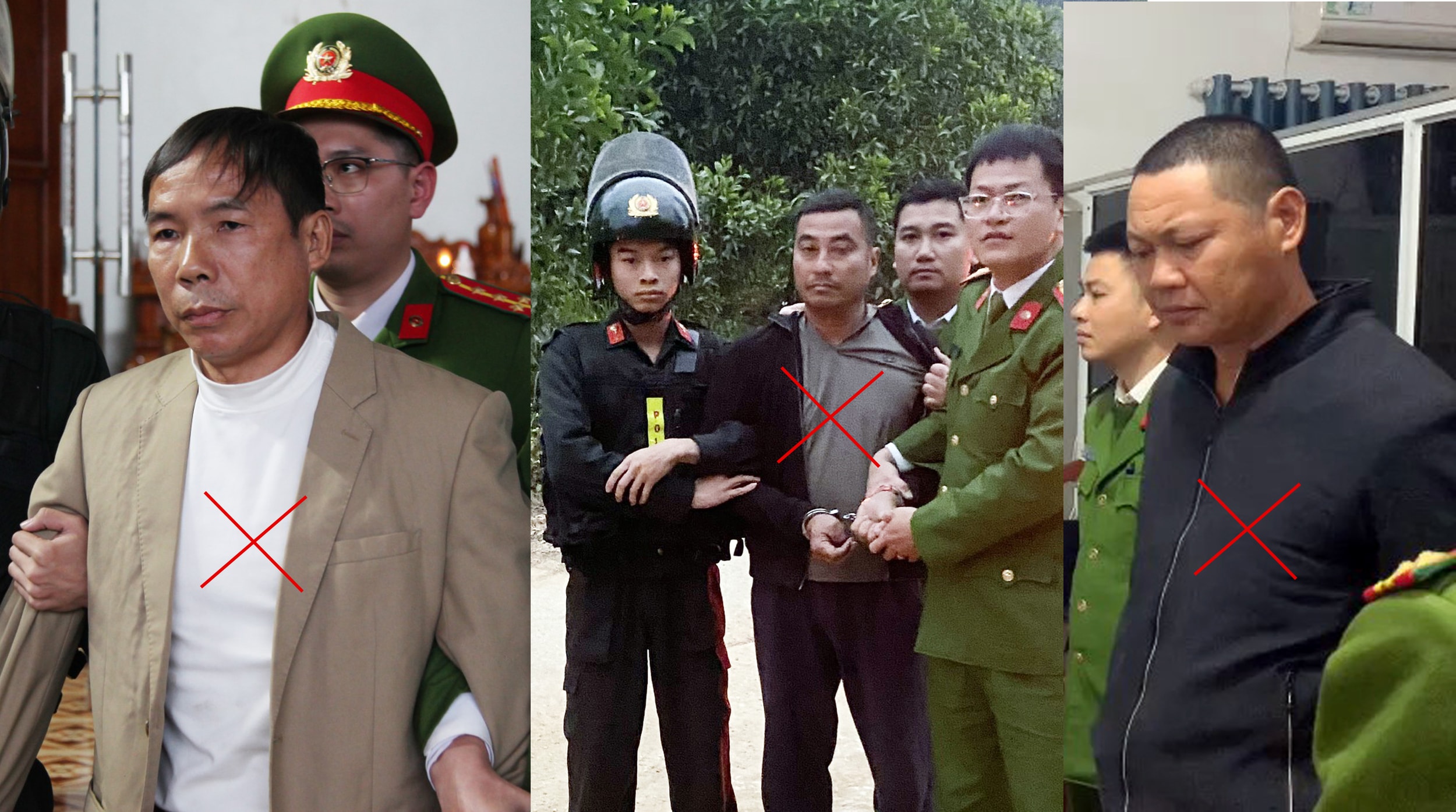 Khởi tố nhóm đối tượng hủy hoại hơn 1.000 cây keo giống của Công ty Lâm nghiệp Thái Nguyên