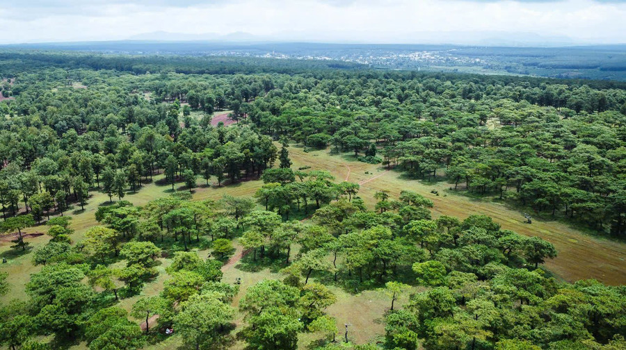 Gia Lai chấp thuận nhà đầu tư thực hiện dự án Sân golf Đak Đoa