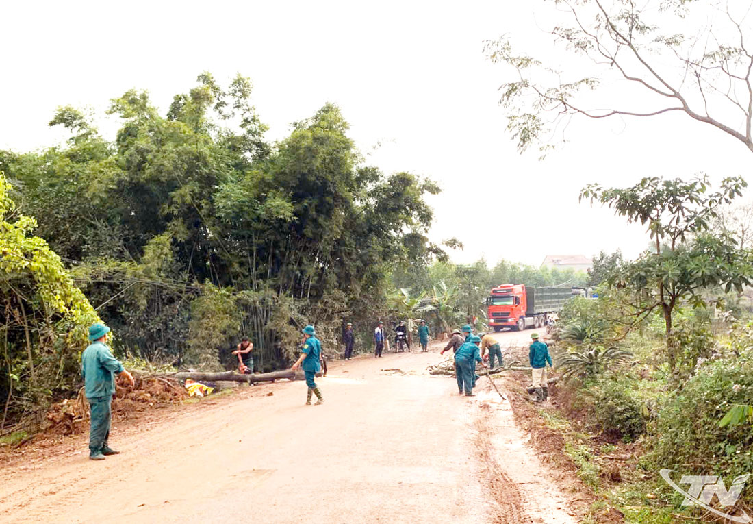 Cấm ô tô tải trọng lớn qua trung tâm xã Tân Thành trong giờ cao điểm