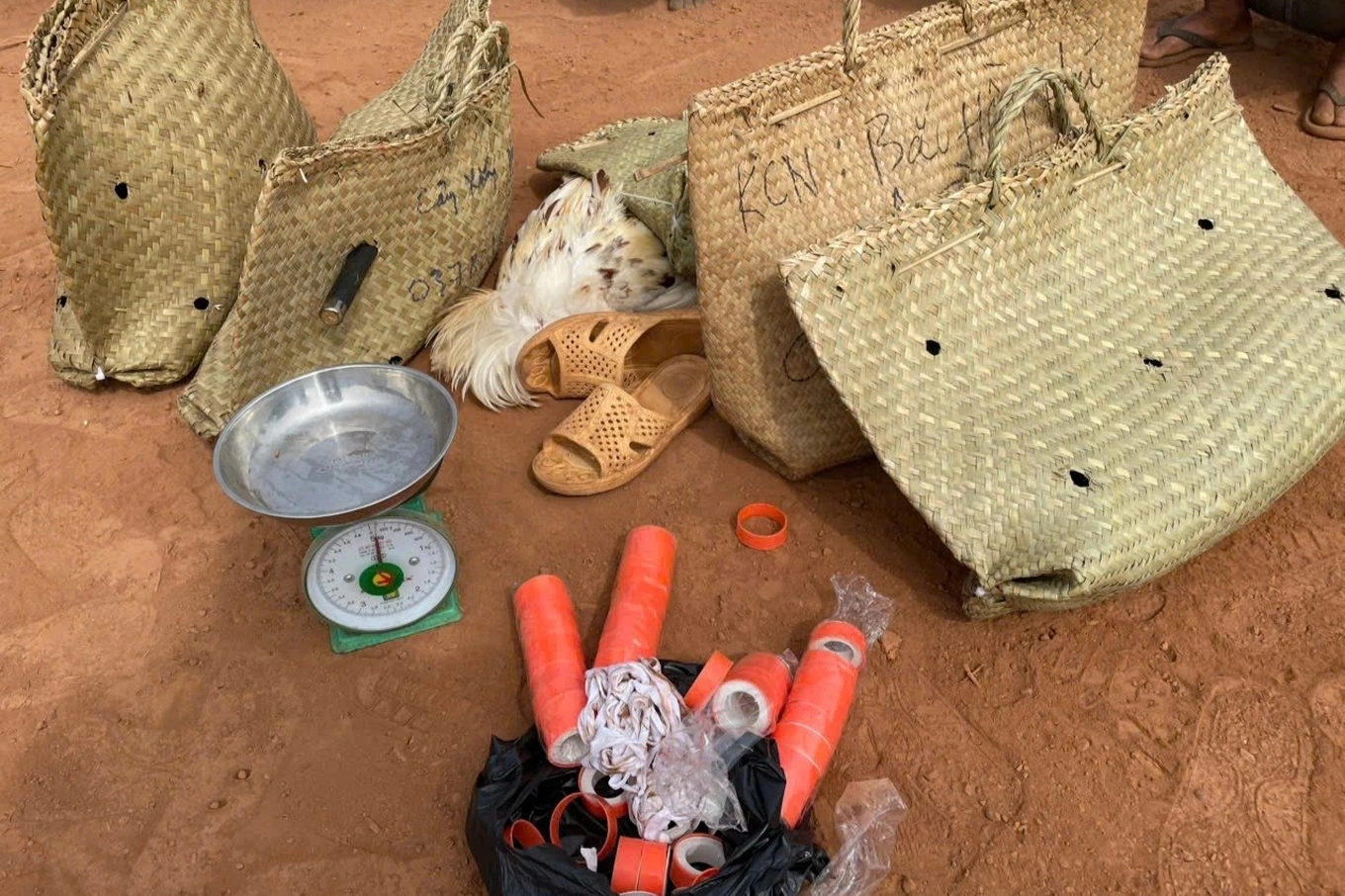 Tạm giữ hình sự 6 người liên quan xới cá độ đá gà ở Đồng Nai