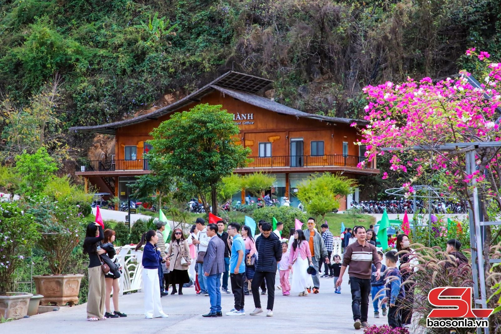 Sơn La đón gần 300 nghìn lượt khách du lịch dịp Tết Nguyên đán Bính Ngọ 2026