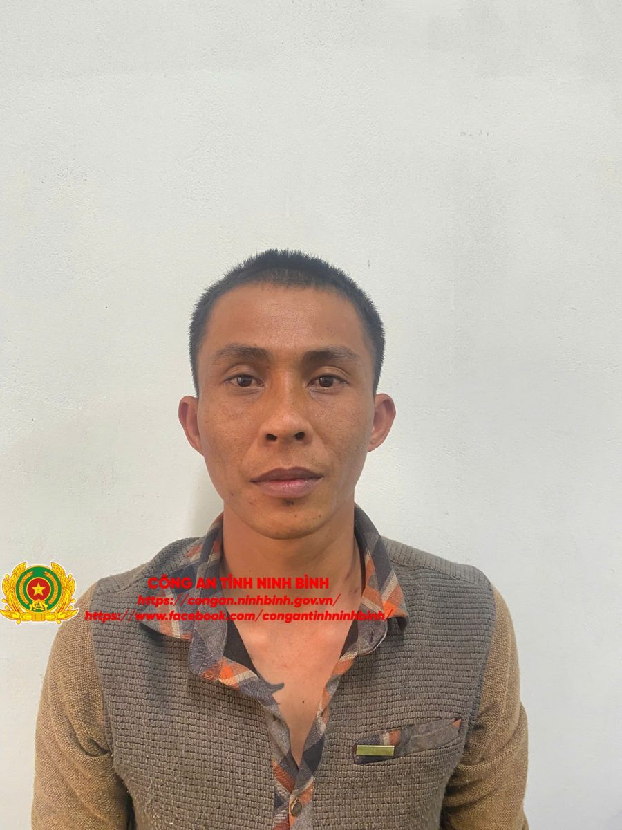 Điều tra, làm rõ hành vi giả mạo chủ vườn Bonsai trên mạng xã hội để lừa chiếm đoạt hơn 1,1 tỷ đồng tiền đặt cọc