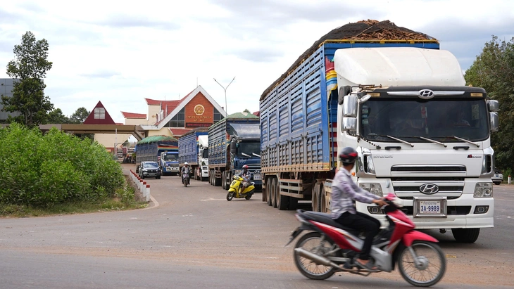 Tây Ninh tháo gỡ cho hàng chục ngàn tấn nông sản ùn ứ do vướng Nghị định 46