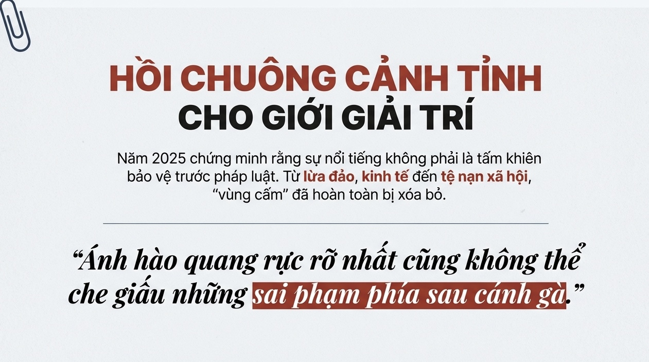 Một năm "bão tố" của giới giải trí - Ảnh 11.