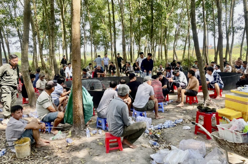 Trường gà trong rừng ăn thua tiền tỷ bị triệt phá ngày giáp Tết