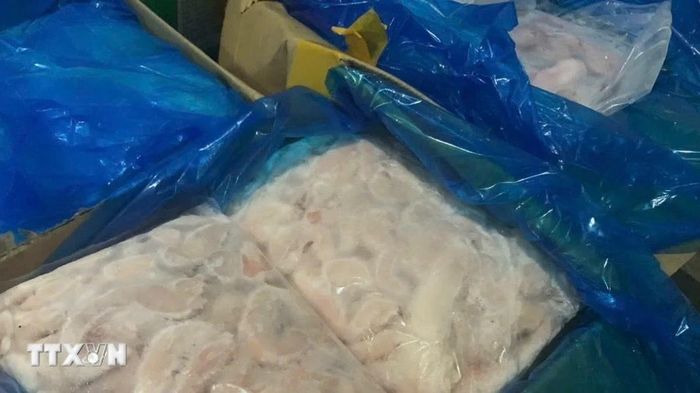 Hưng Yên phát hiện xe tải chở hơn 1,3 tấn nầm lợn đã bốc mùi hôi thối