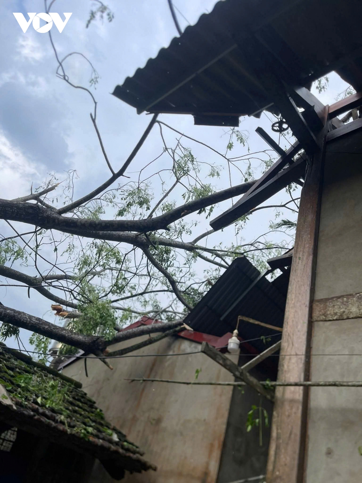 mua dong, loc xoay gay nhieu thiet hai cho lao cai hinh anh 5