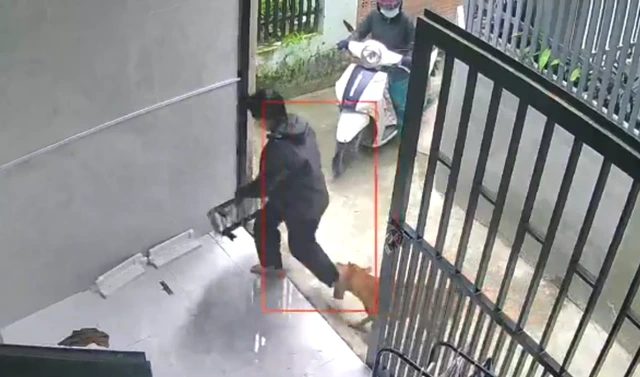 Chó dữ thả rông trong hẻm ở TP.HCM: Người dân không dám ra đường