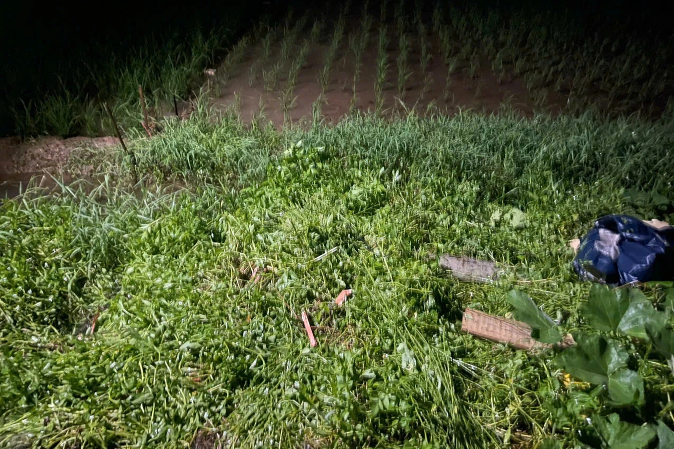 Công an cảnh báo việc dùng dây điện bẫy chuột làm chết người