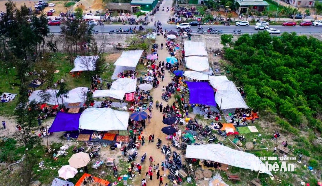 Cá trích nướng Nghệ An bất ngờ “gây sốt” mạng xã hội, đông đảo thực khách tìm đến trải nghiệm