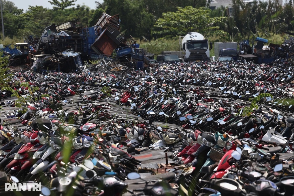 Sắp đấu giá gần 7.000 xe máy vi phạm, giá khởi điểm từ 720.000 đồng/chiếc - 1 Sắp đấu giá gần 7.000 xe máy vi phạm, giá khởi điểm từ 720.000 đồng/chiếc - 1