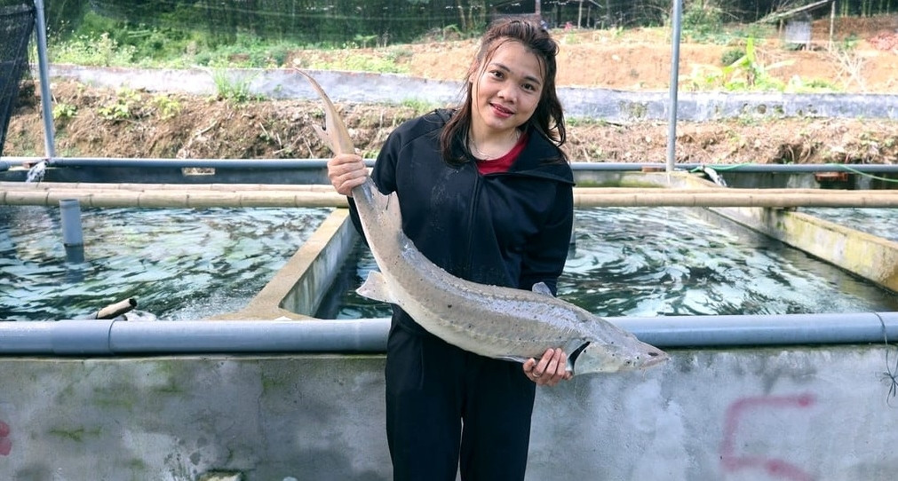 Cô gái Mường nuôi cá “quý tộc” trúng cử đại biểu HĐND tỉnh Thanh Hóa