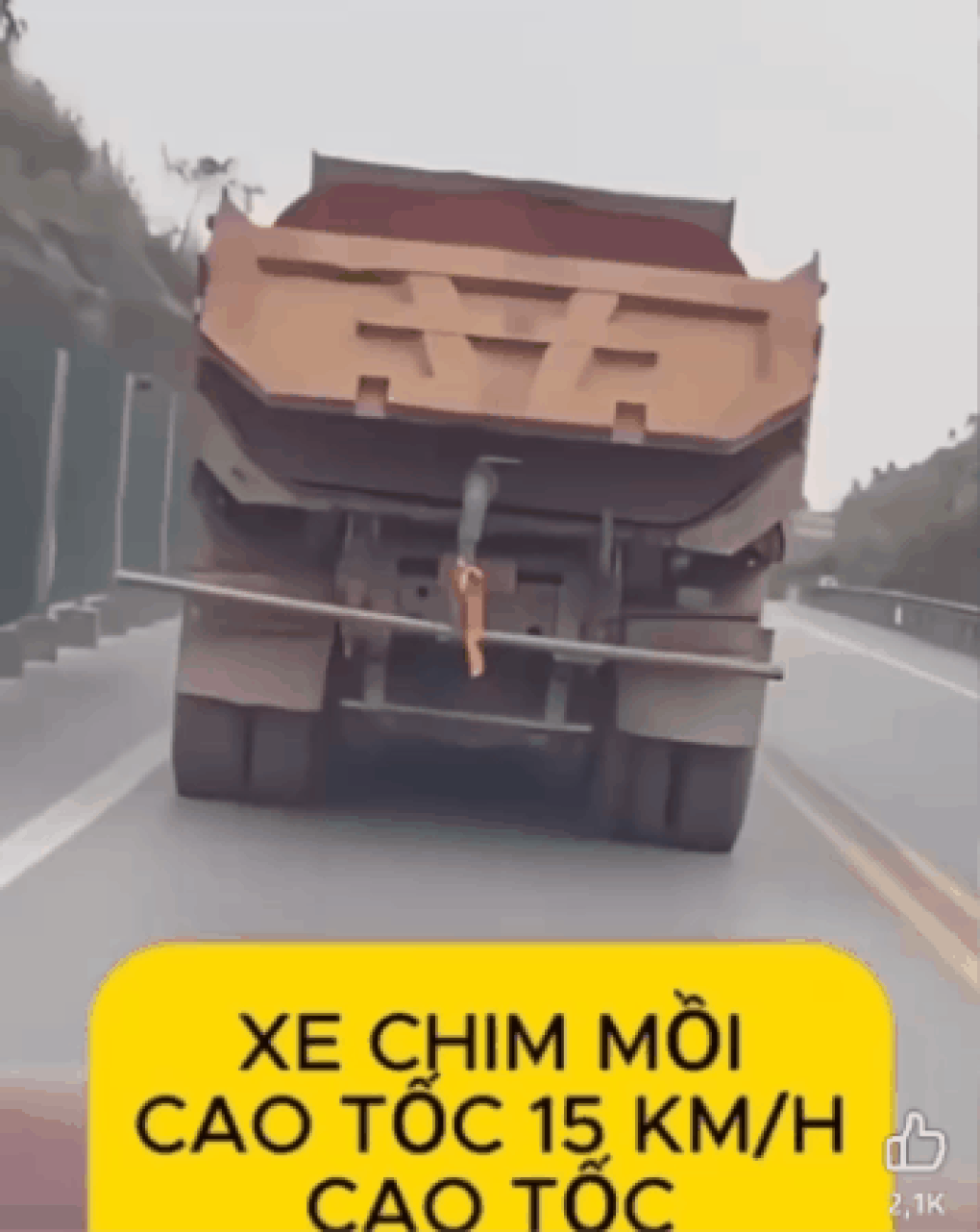 Lái xe tải bị gọi là chim mồi trên cao tốc bị phạt 23 triệu đồng - 1