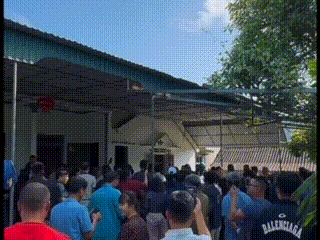 Người dân đổ xô đến xem cặp nhung hươu ‘khủng’