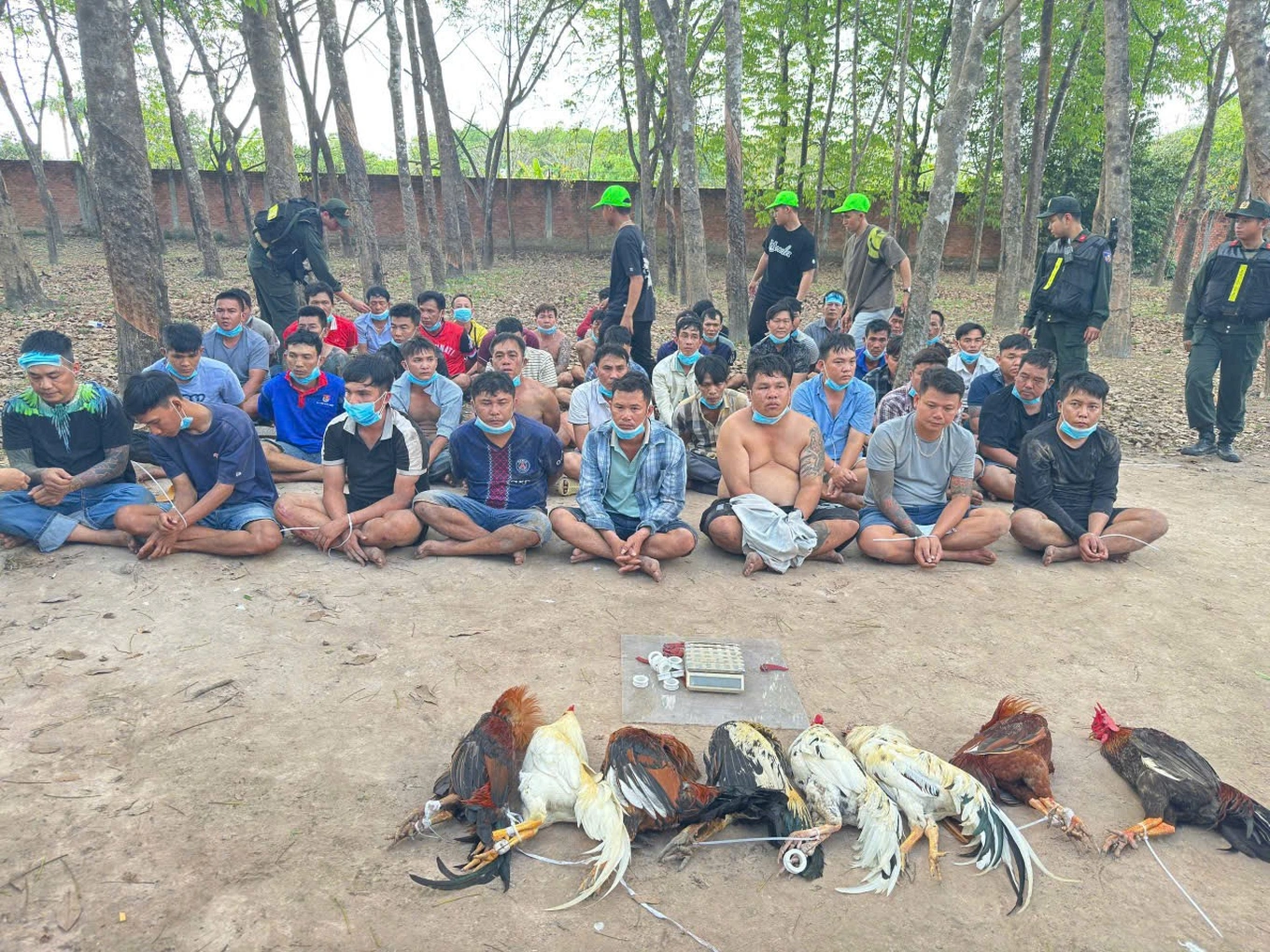 Khởi tố 22 người tham gia cá cược trong sới gà bịp ở TPHCM