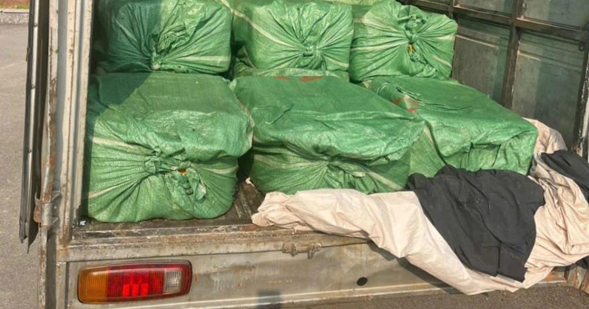 Phát hiện hơn 1,3 tấn nầm lợn bốc mùi trên xe tải ở Hưng Yên