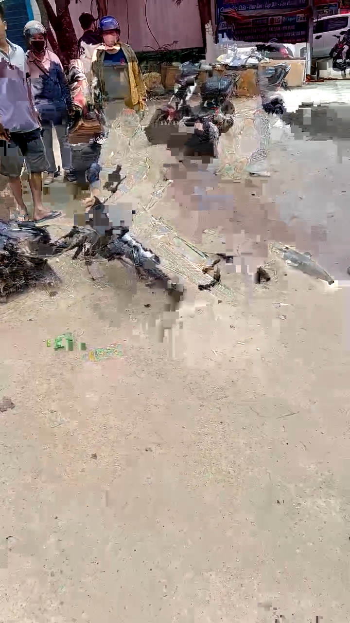 Kỳ Sơn, Hoà Bình: Không hiểu các cháu đi kiểu gì mà var thế này…