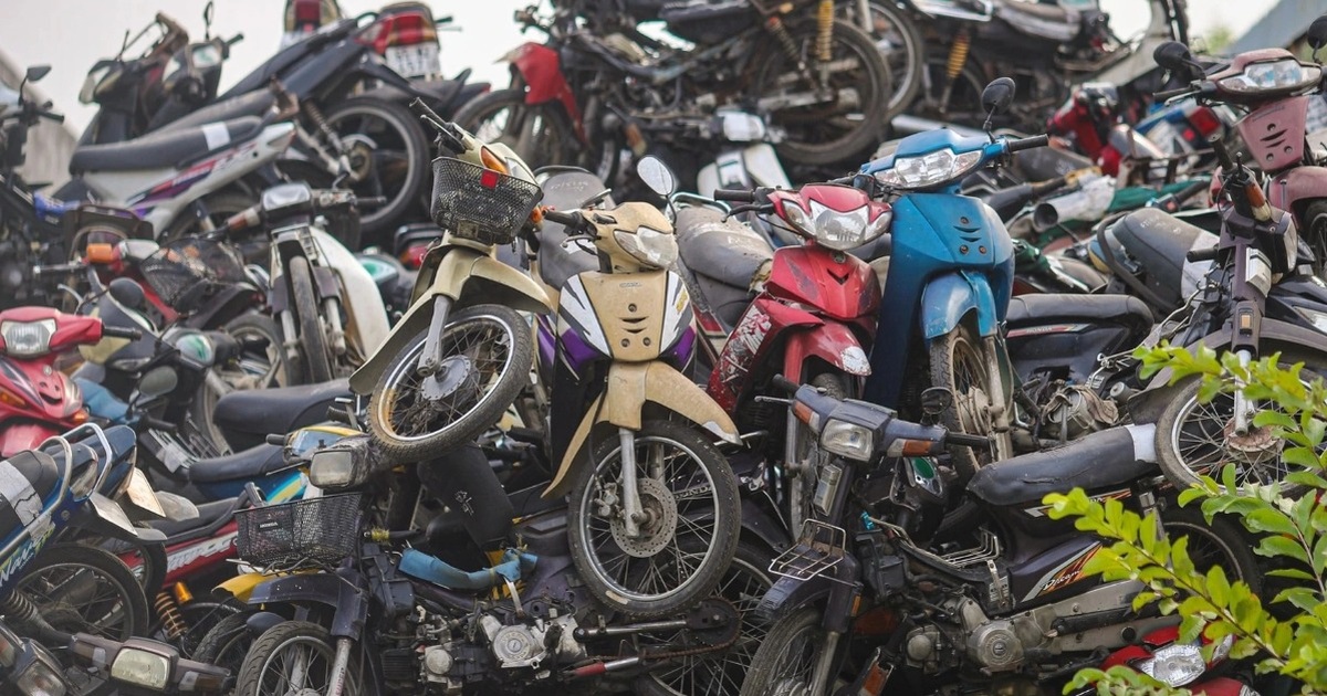 Sắp đấu giá gần 7.000 xe máy vi phạm, giá khởi điểm từ 720.000 đồng/chiếc