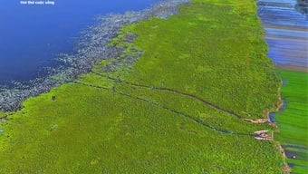 Cận cảnh vẻ ‘sơn thuỷ hữu tình’ Đầm Trà Ổ gần 5.700 ha ở Gia Lai