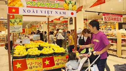 Thủ tướng Chính phủ chỉ thị phát triển kênh phân phối hàng Việt ở nước ngoài