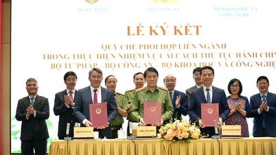 Thiết lập cơ chế liên ngành thúc đẩy cải cách thủ tục hành chính số