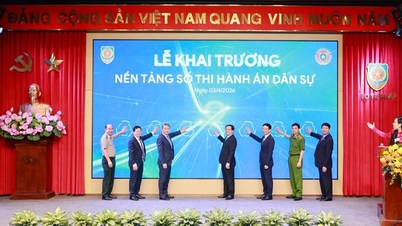 Nền tảng số Thi hành án dân sự vận hành, thúc đẩy quản trị dữ liệu