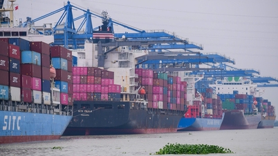 Nghịch lý xuất khẩu vật liệu xây dựng: Tiền cước cao hơn tiền hàng