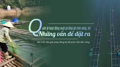 Bài cuối: Cần giải pháp đồng bộ để phát triển bền vững