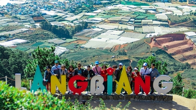 Dalattourist: ‘Hạt nhân’ hút khách du lịch Lâm Đồng trong năm 2026