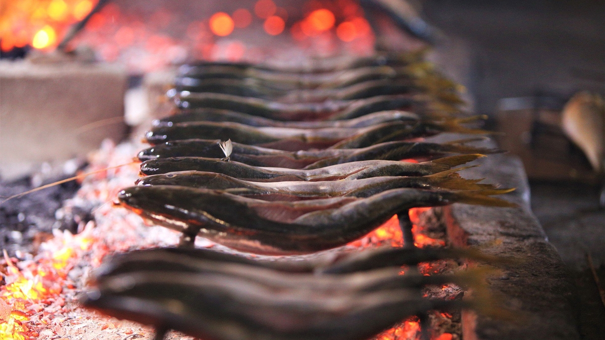 Cá trích gây 'sốt' mạng xã hội