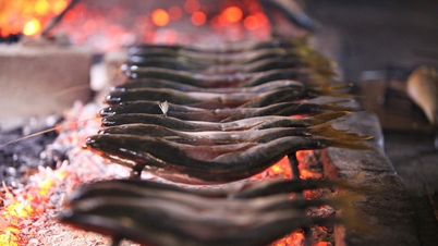 Cá trích gây 'sốt' mạng xã hội