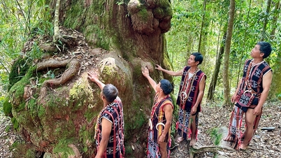 Đặc sắc lễ hội tạ ơn rừng ở xã biên giới Hùng Sơn