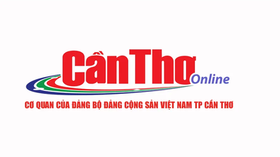 An Giang thắt chặt mối liên kết giữa hợp tác xã và doanh nghiệp