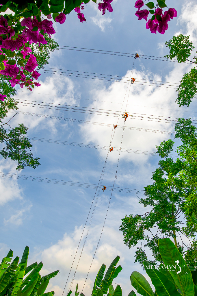 “Những người nối trời xanh”