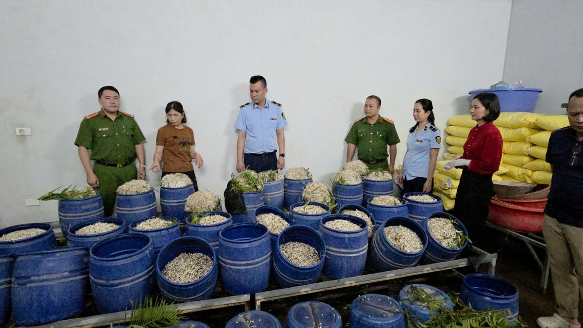 Cơ sở sản xuất giá đỗ chứa chất cấm của Phạm Thị Quỳnh ở phường Quảng Yên. Ảnh: Công an Quảng Ninh.