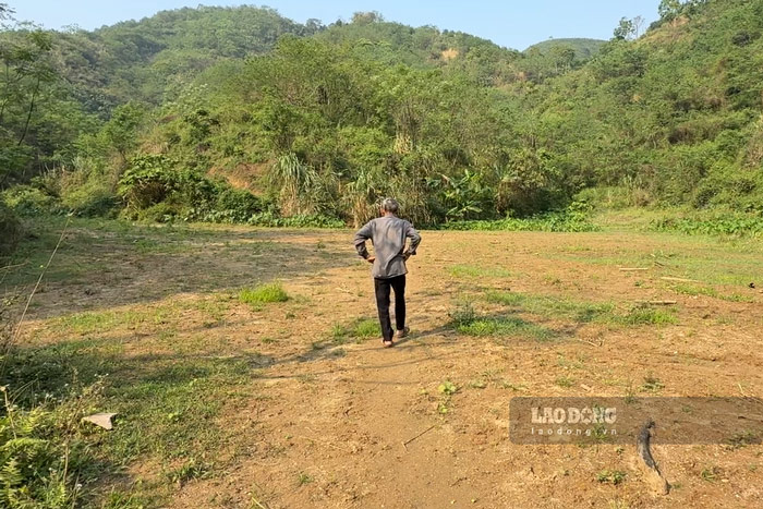 Sau nhiều năm thực hiện, dự án không mang lại được hiệu quả như kỳ vọng. Ảnh: Đinh Đại