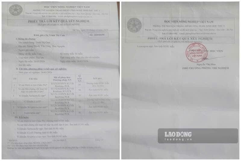 Kết quả xét nghiệm do phụ huynh học sinh tự gửi mẫu. Ảnh: Phụ huynh cung cấp.