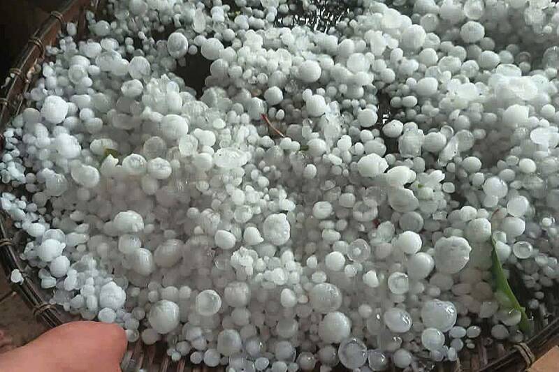 Đá kèm dông lốc rơi dày đặc ở bản Co Hịnh, xã Phiêng Cằm. Ảnh: NDCC