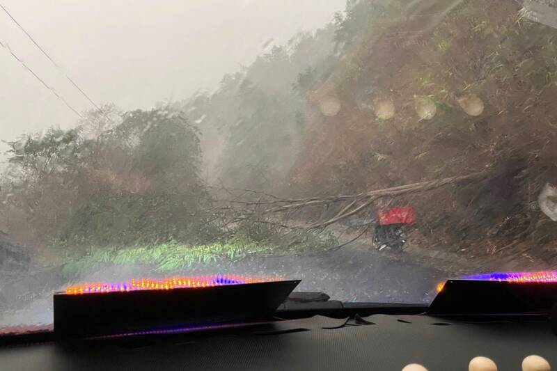 Dông lốc gây đổ cây tại Quốc lộ 4G đoạn qua xã Nà Ớt. Ảnh: Hội lái xe tỉnh Sơn La