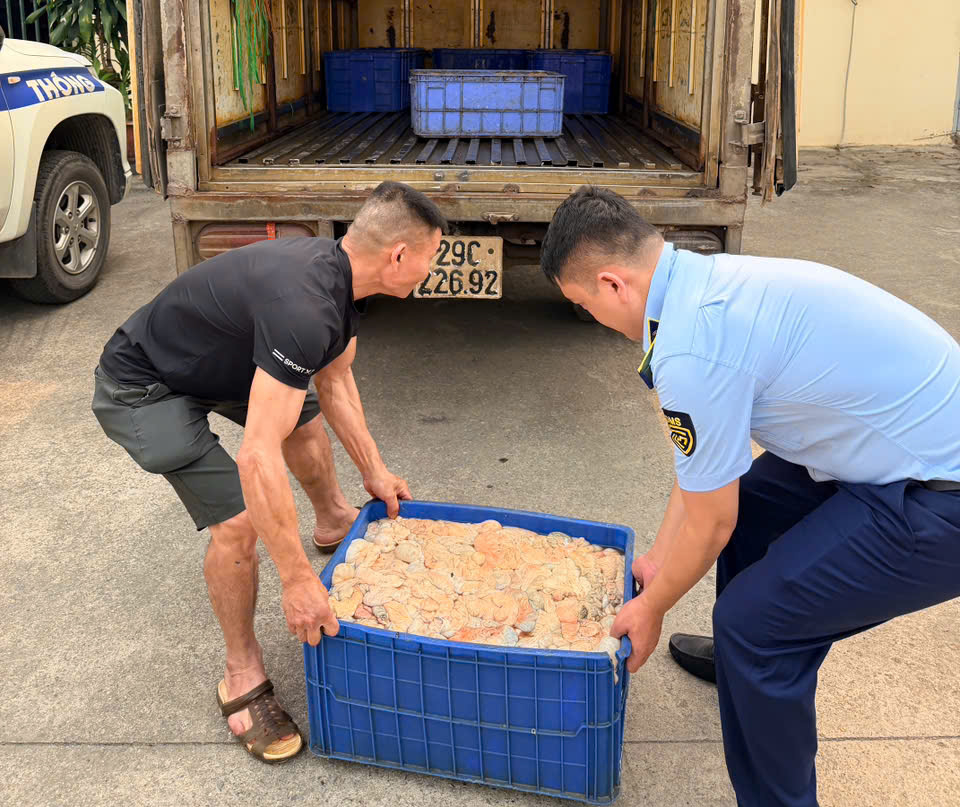 Phát hiện hơn nửa tấn lòng lợn bốc mùi hôi thối đang trên đường tiêu thụ- Ảnh 1. Phát hiện hơn nửa tấn lòng lợn bốc mùi hôi thối đang trên đường tiêu thụ- Ảnh 1.