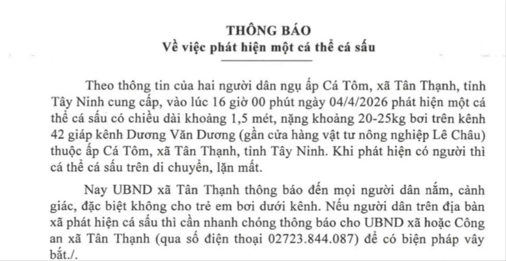 Cá sấu.jpg
