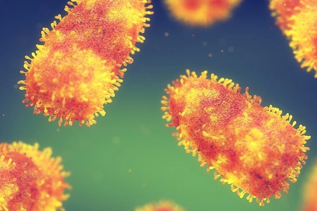 Chủ quán thịt chó tử vong do mắc bệnh dại - 1